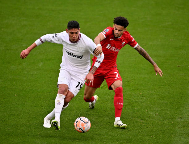 他们的能力 他们的能力