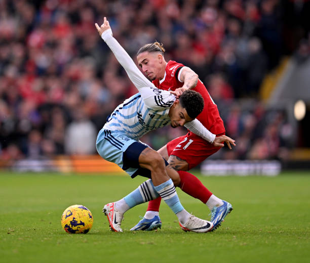 低调保护 低调保护