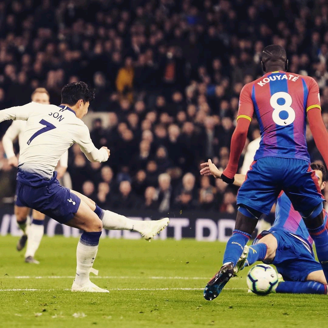 的球探系統 的球探系統